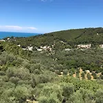 Pineta Vista Mare