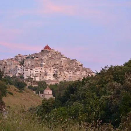 Pineta Vista Mare