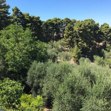 Pineta Vista Mare San Menaio