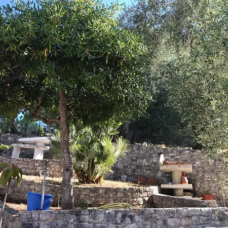 Pineta Vista Mare