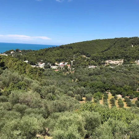 Pineta Vista Mare