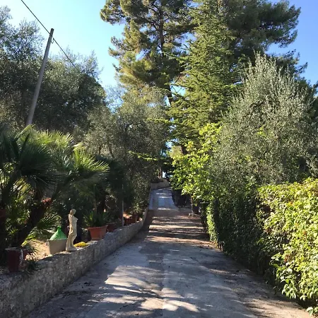 Pineta Vista Mare