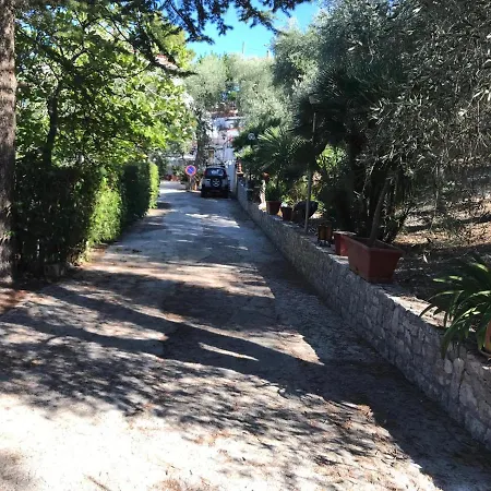 Pineta Vista Mare