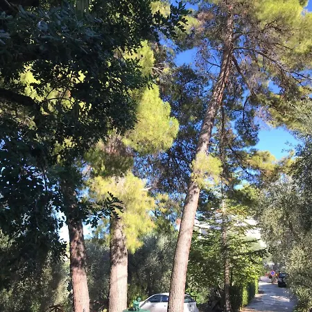 Apartment Pineta Vista Mare