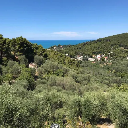 Apartment Pineta Vista Mare